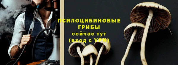 герыч Алзамай