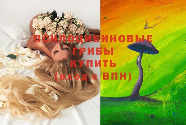 таблы Алексеевка