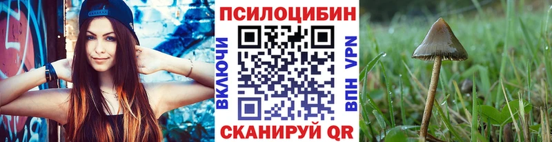 Галлюциногенные грибы Psilocybine cubensis  хочу наркоту  ссылка на мегу tor  Бикин 